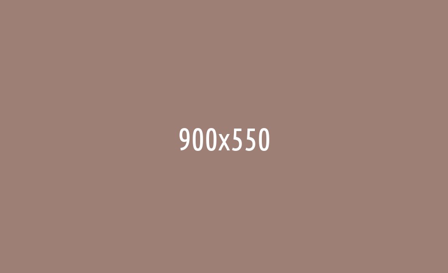 bitwallet-theme-1-900x550.jpg