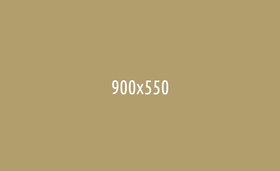 bitwallet-theme-3-900x550.jpg